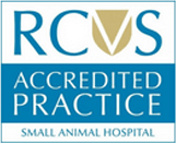 accreditations rcvs accredited practice sah