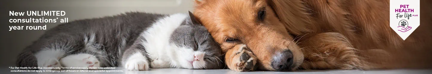 Pet Health for Life | Maven Vets | Preventative Pet Care