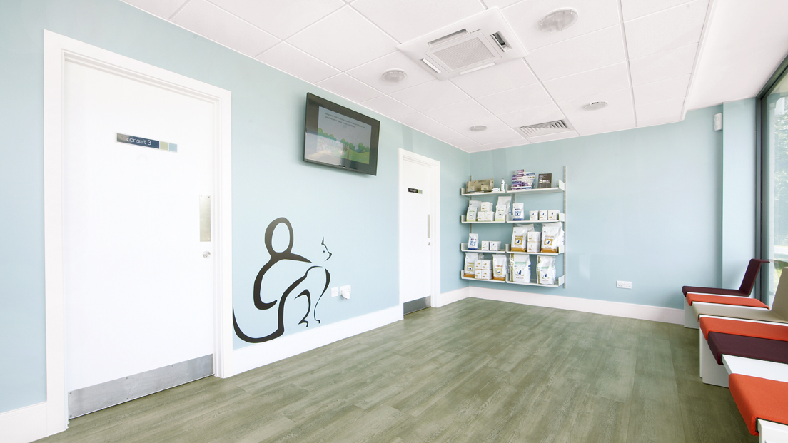 Cat and Small Animal Waiting Room