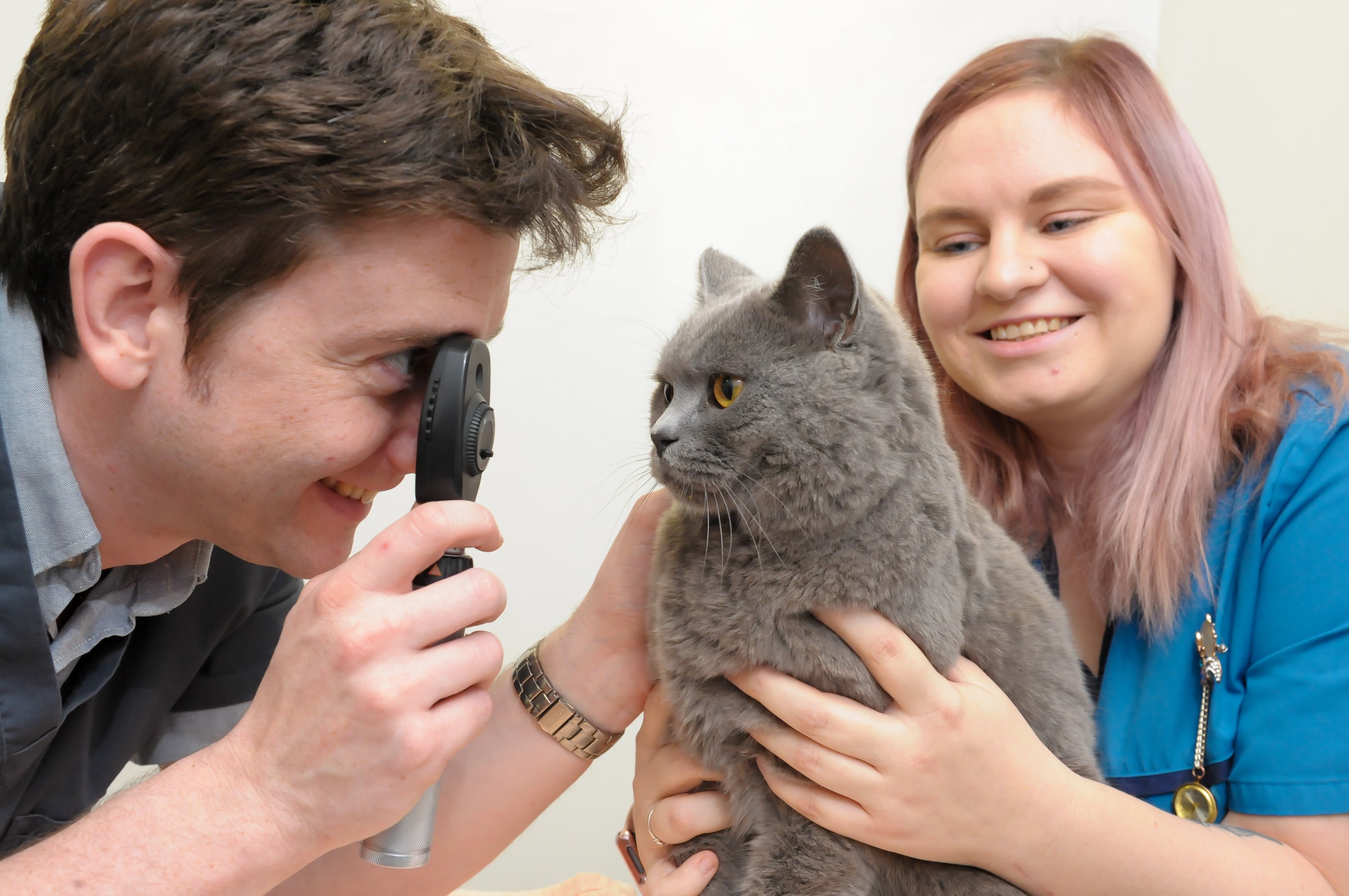 Chris and Jade cat eye exam