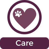 Maven Care Icon