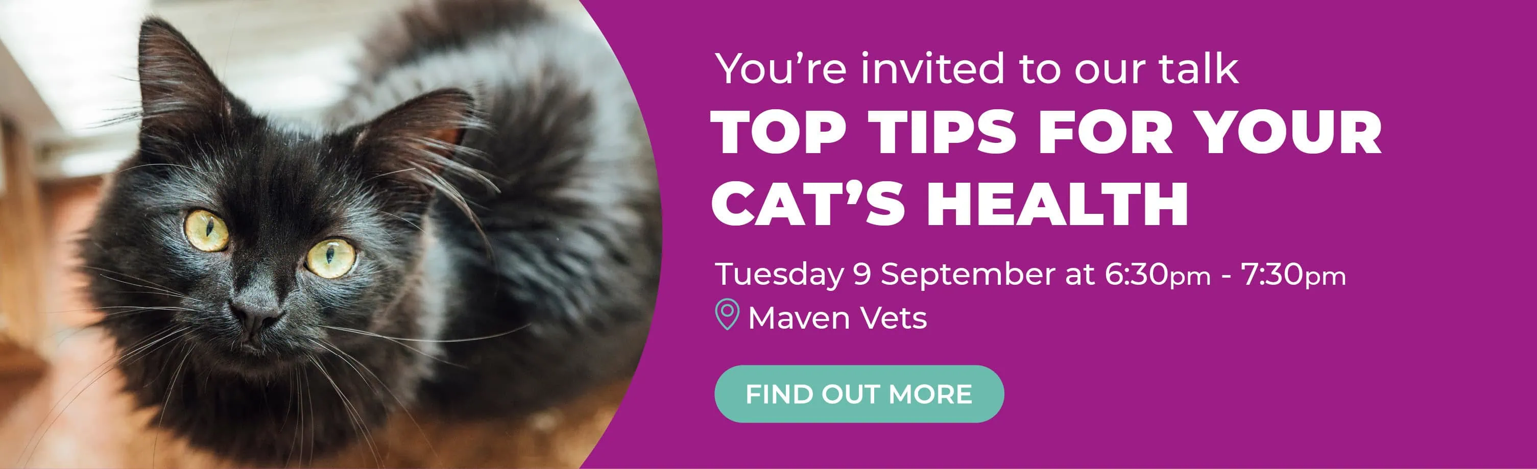 Vets in Sutton | Vets Near Me | Maven Vets
