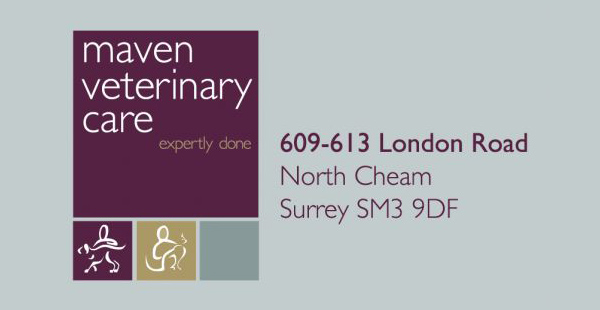 Rebuilding the clinic also allowed us to rebrand as Maven Veterinary Care