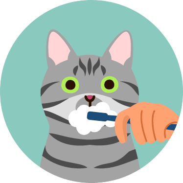 Cat Dentistry in Sutton