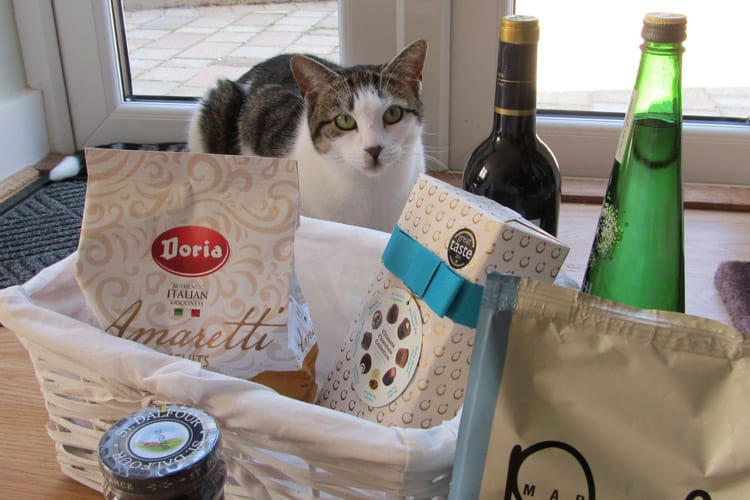 Pixel guarding his owners open day hamper.
