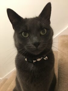 Magnus - on the stairs