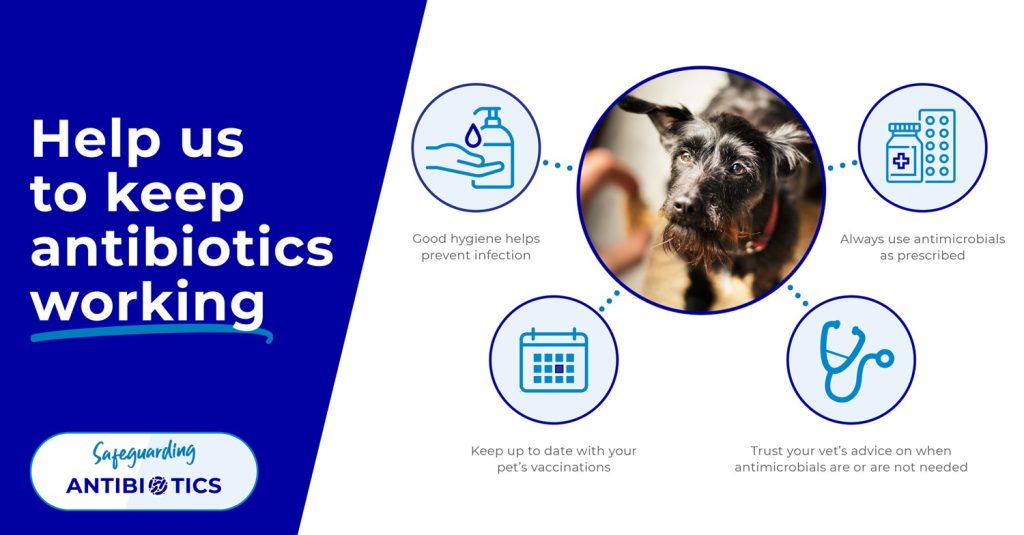 Help us keep antibiotics working