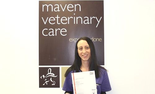 vet