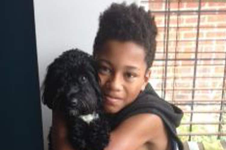 Pet Dog