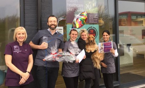 Emergency out of hours vets in Surrey