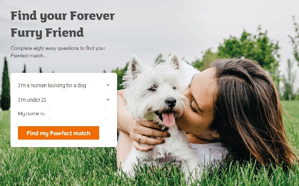 Pawfect Match Tool