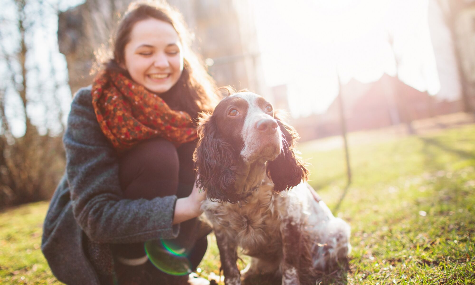 hearing dog