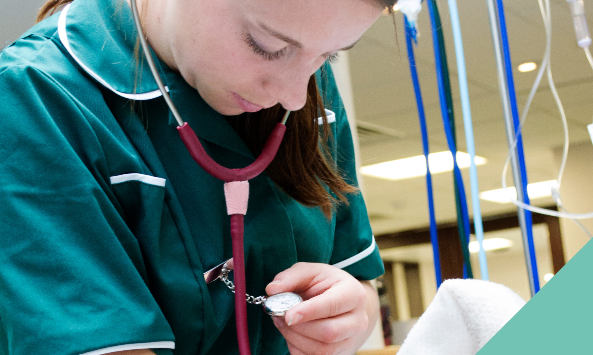 vet nurse