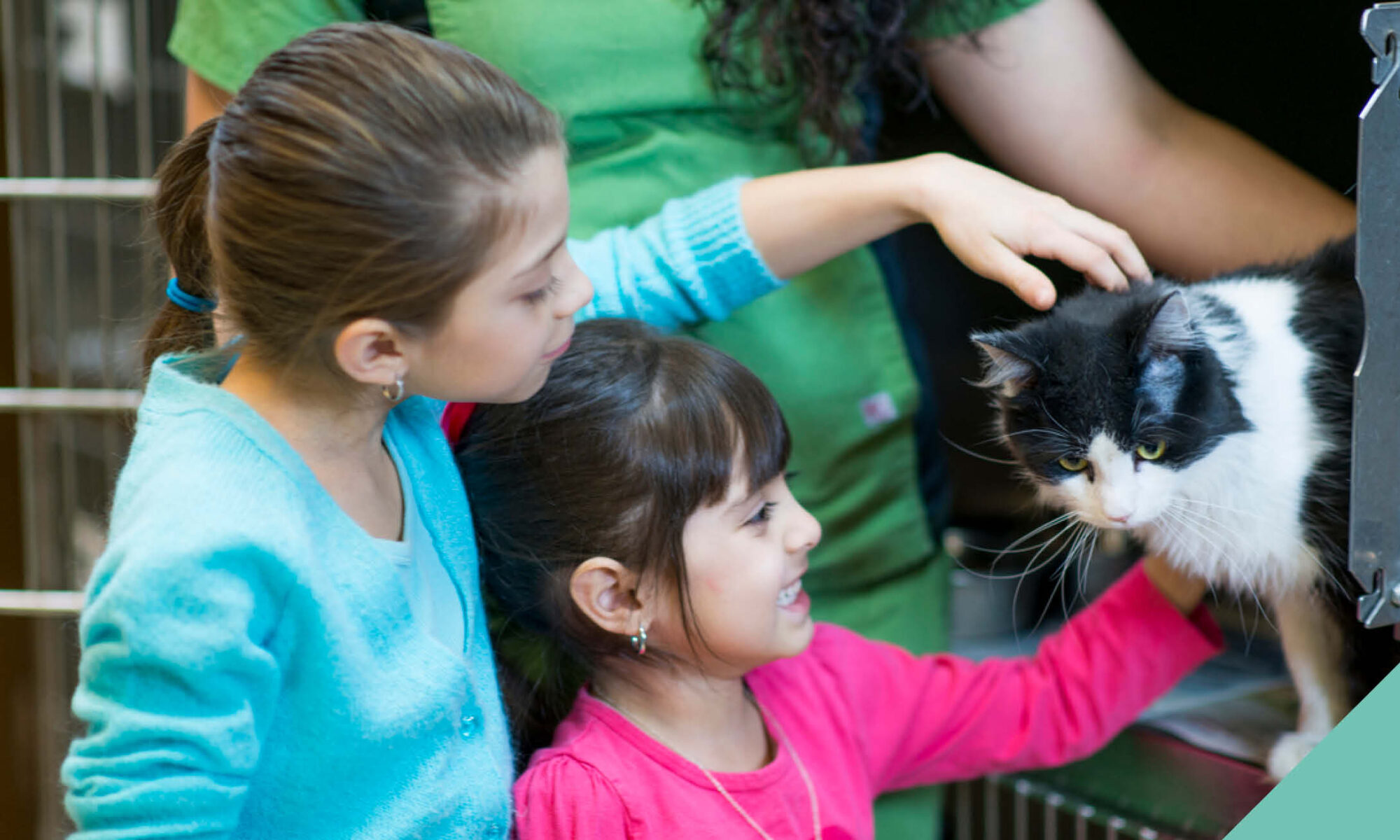 children stroking cat