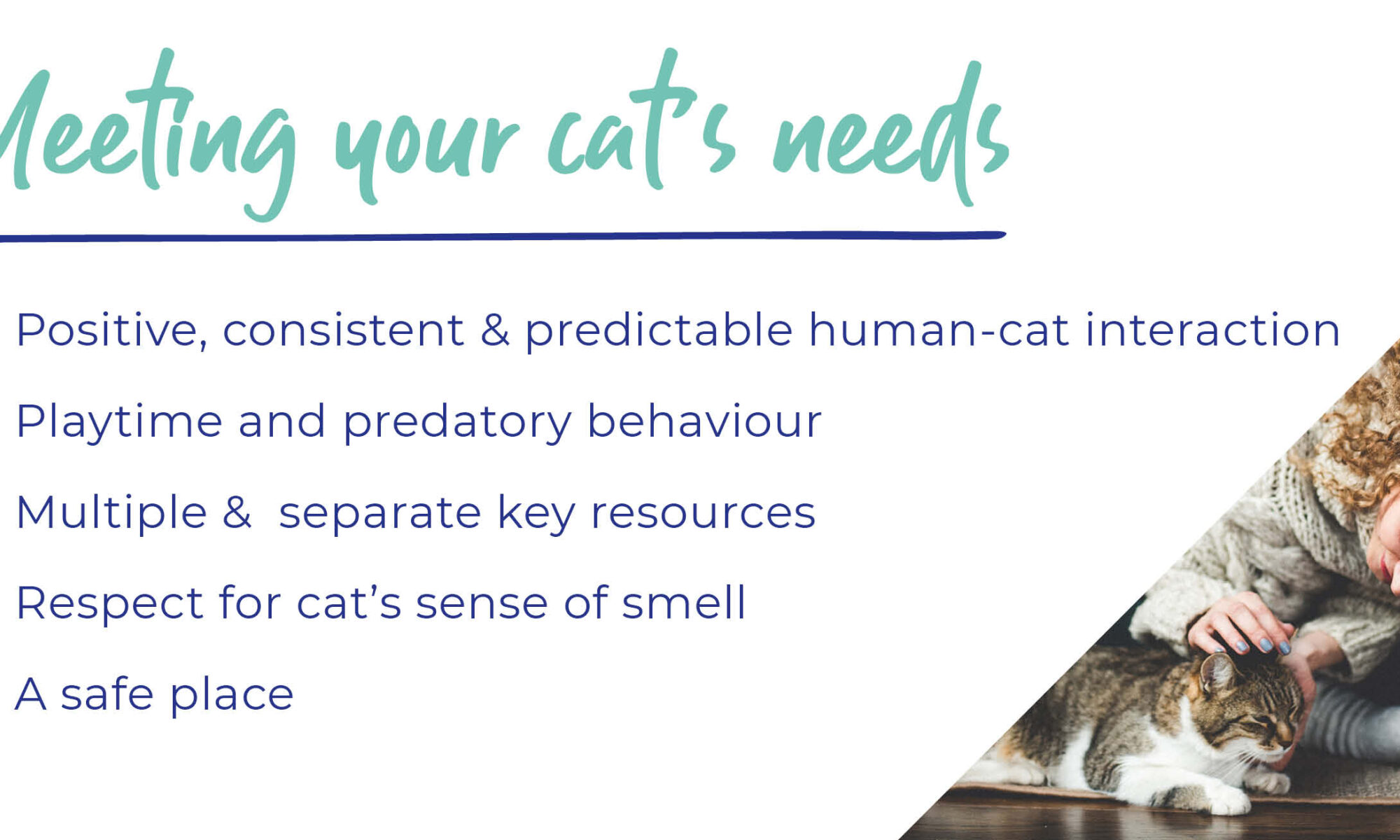 Cat Advice