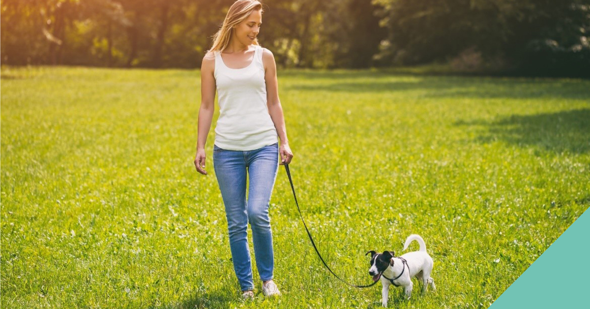 dog on lead