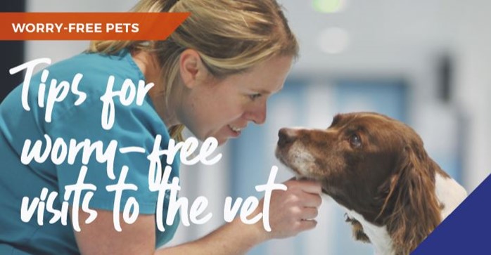 worry-free-pets