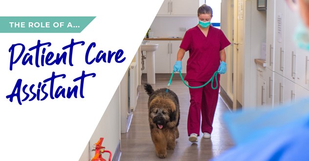 Patient Care Assistant