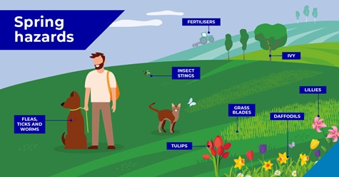 Spring-Hazards-FB