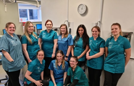 maven vets career opportunities for veterinary professionals - thumbnail