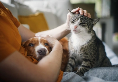 Pet owner taking care of senior pet