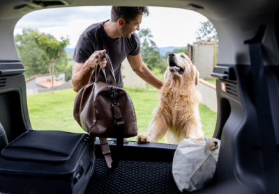 Prepare your dog for a smooth journey