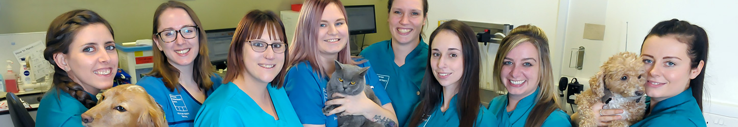 Our Opening Times | Maven Vets Sutton