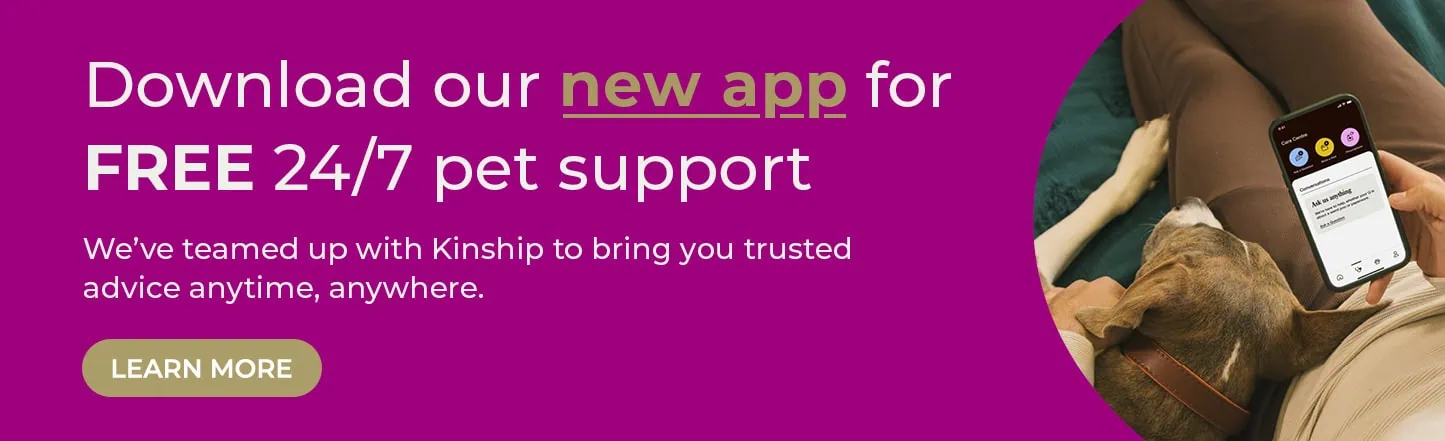 Vets in Sutton | Vets Near Me | Maven Vets