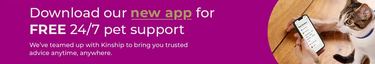 Get instant support 24/7 — download our app for free!