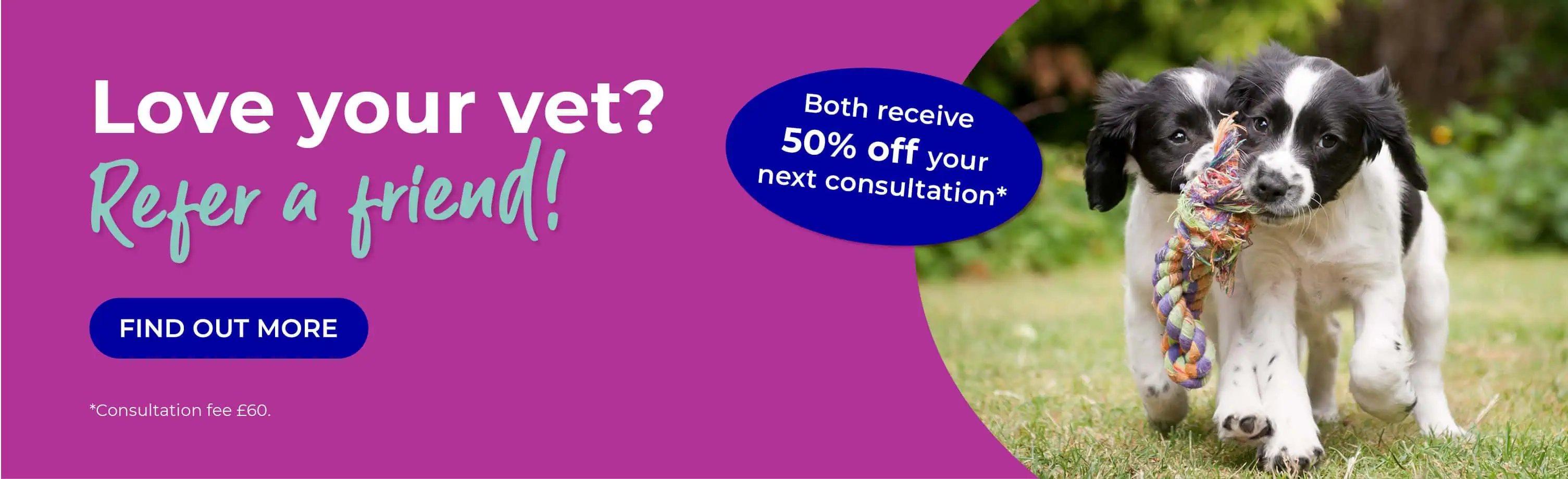 Vets in Sutton | Vets Near Me | Maven Vets