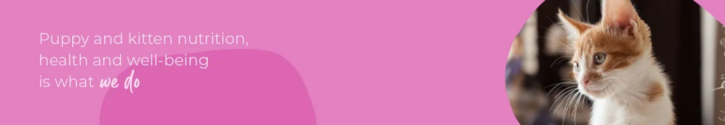 Start of Life for Your Puppy or Kitten