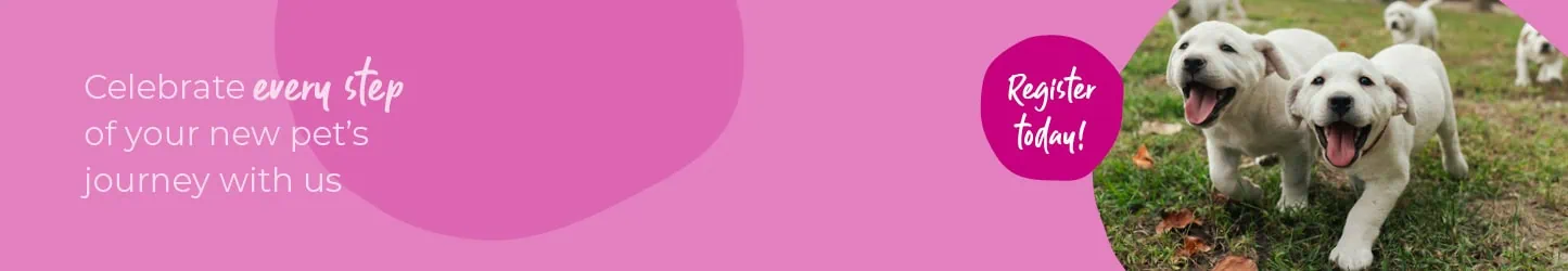 Start of Life for Your Puppy or Kitten