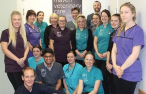 Vets achieve hospital status