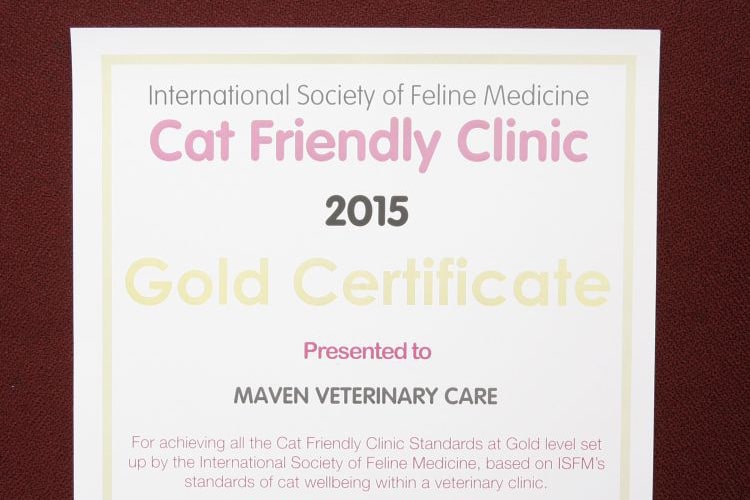 Cat Friendly Clinic Certificate