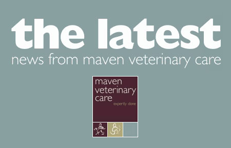 Latest News from Maven Veterinary Care
