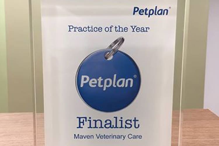 et-plan-practice-of-the-year-award-2017