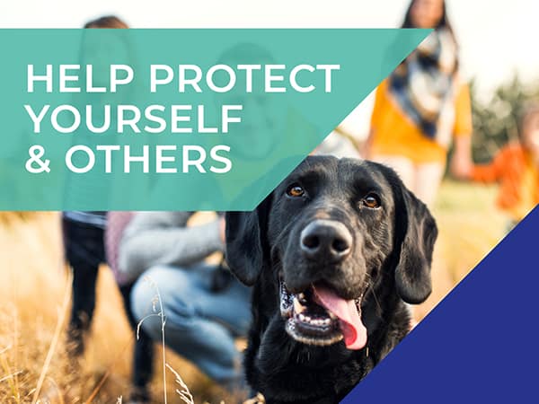 Emergency out of hours vets in Surrey