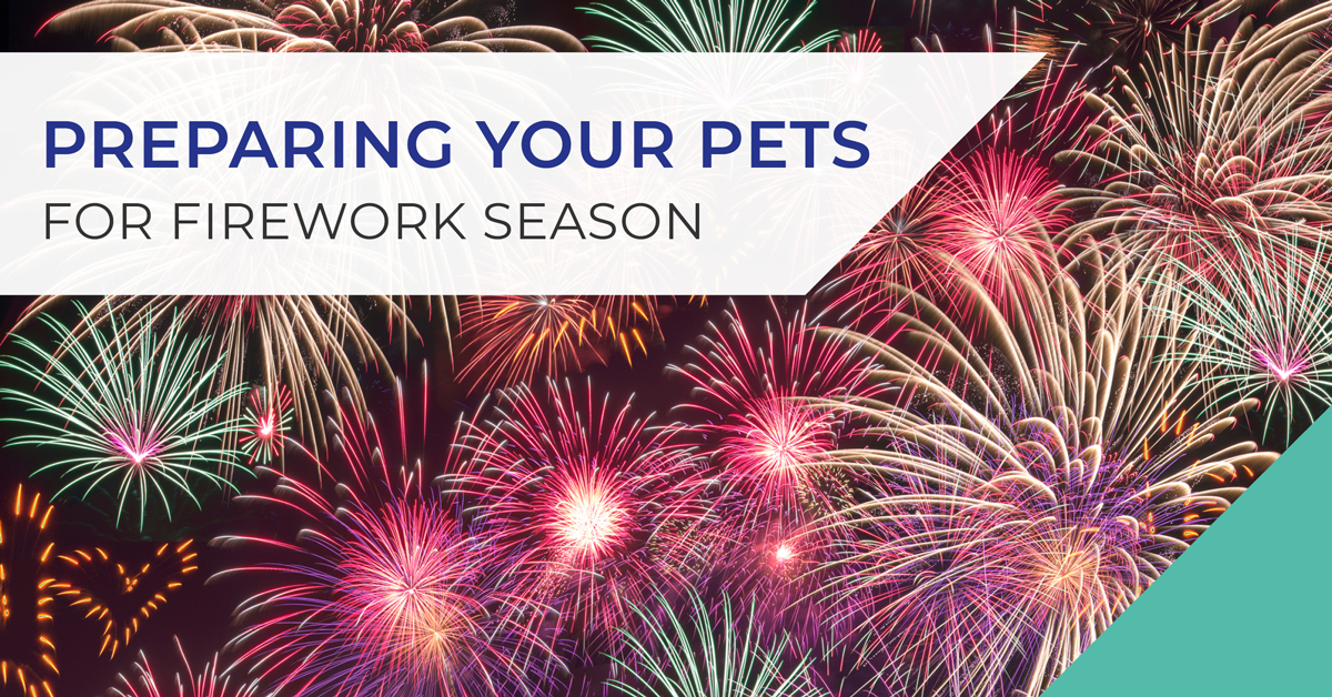 Preparing your pets for fireworks