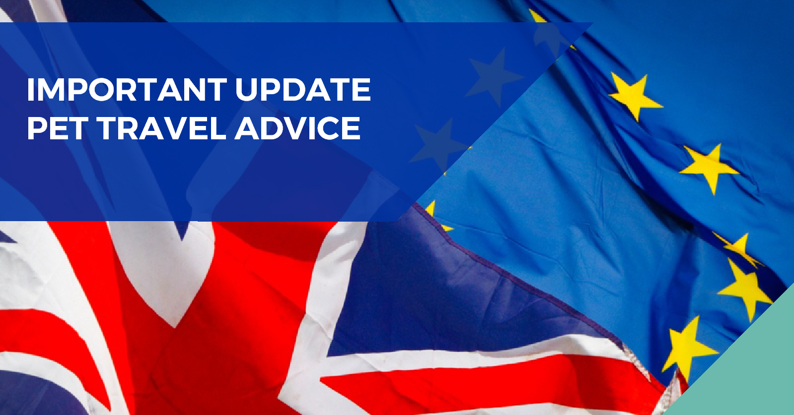 Brexit Pet Travel Update