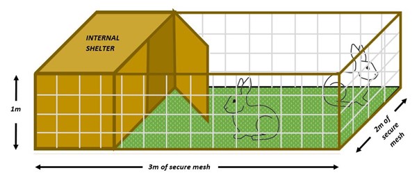 Rabbit space requirements - internal shelter