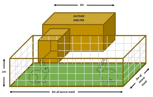 Rabbit space requirement - outside shelter