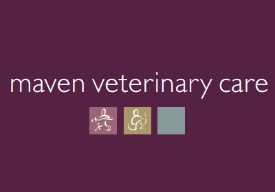 Maven Vets Newsletter - Winter 2025 Edition