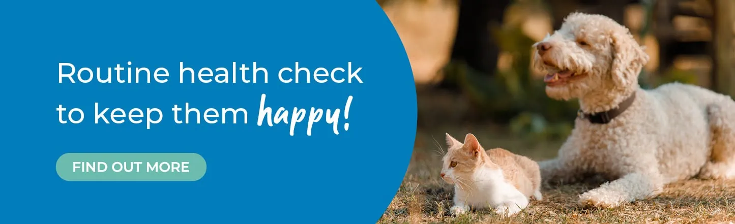 Vets in Sutton | Vets Near Me | Maven Vets