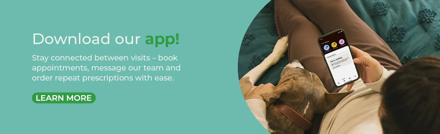 Vets in Sutton | Vets Near Me | Maven Vets