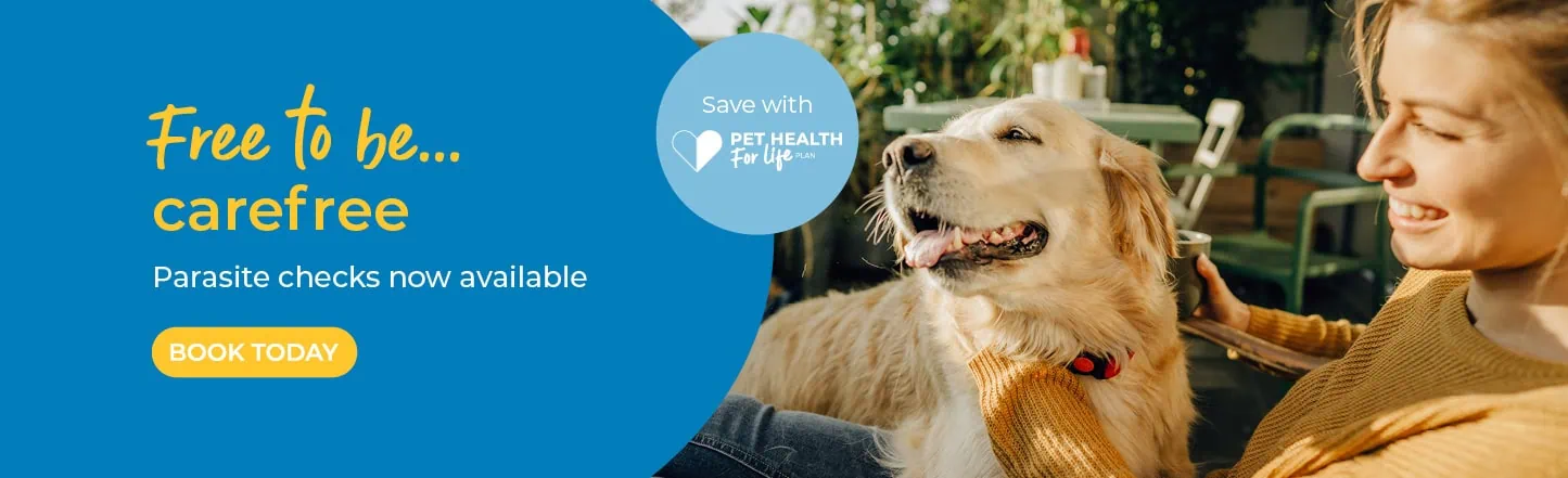 Vets in Sutton | Vets Near Me | Maven Vets