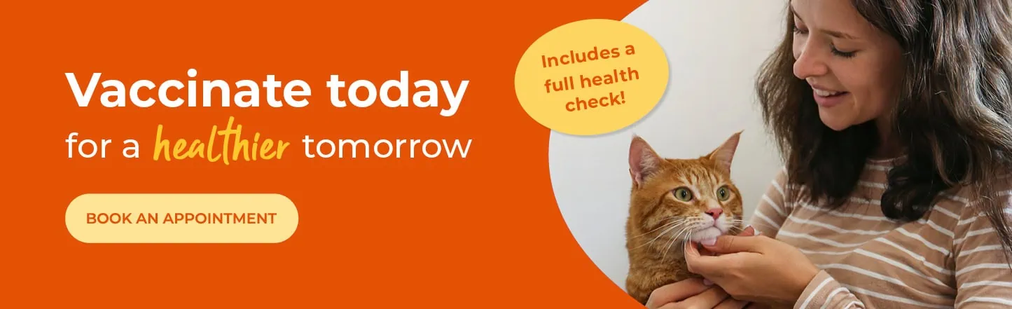 Vets in Sutton | Vets Near Me | Maven Vets